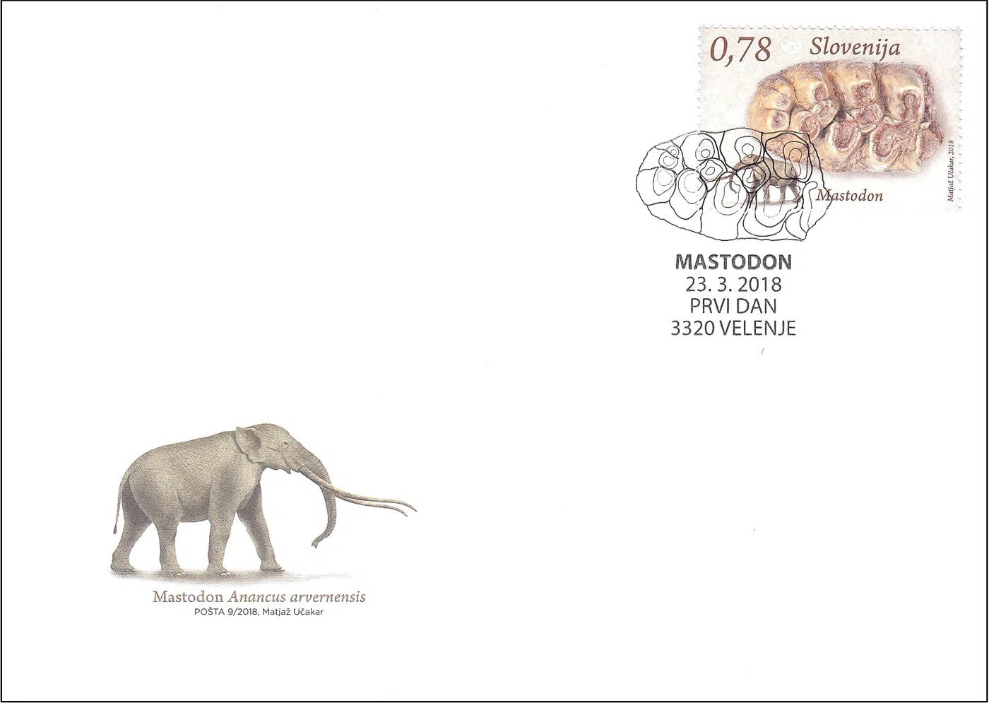 FOSILNI SESALCI SLOVENIJE - MASTODON